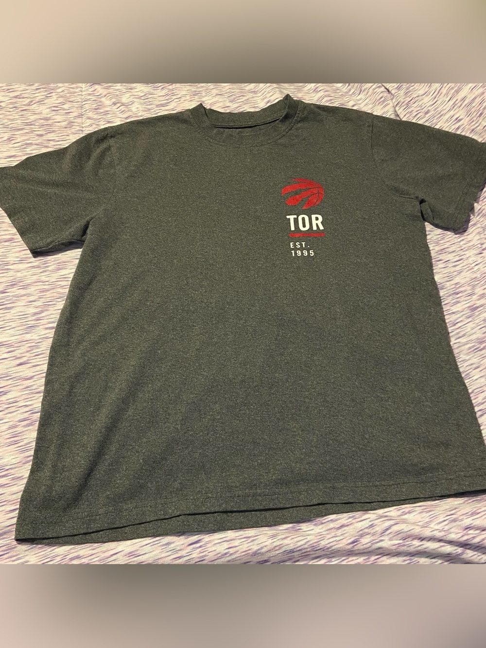 NBA Toronto Raptors Men's Dark Gray Crewneck Tee with Team Logo
